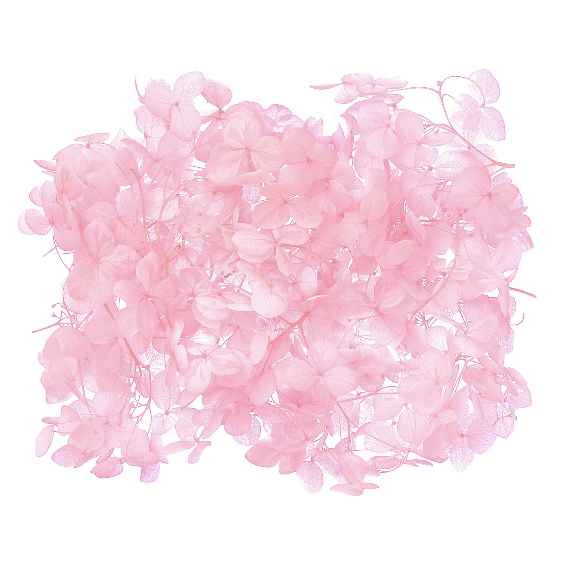 The Baked Studio - Original Dried Flower Hydrangea Set For Cake & Cupcake Decorating & Others Crafts (Bright Pink)