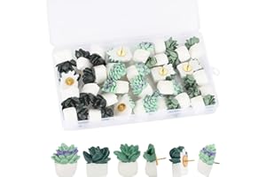 ACDESIGN 30Pcs Decorative Pushpins Succulent Plants Thumb Tacks for Wall Hangings,Cork Board