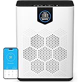DAYETTE Air Purifier for Home Large Room up to 3000 Sq.Ft, 2×HEPA 14 Filters with 6-Stage Filtration, Smart WiFi & Alexa Comp