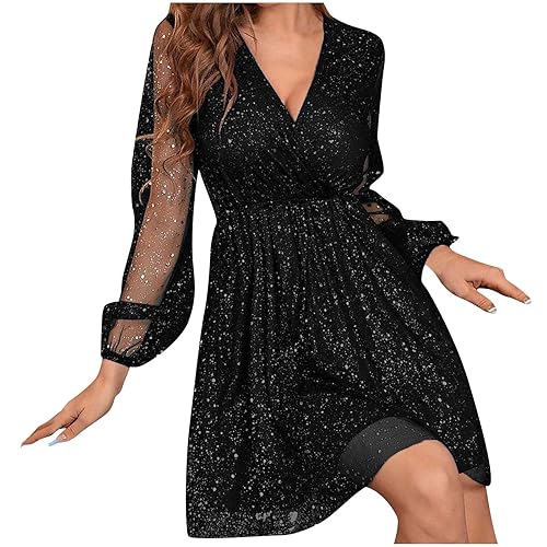 Women's Mesh Dress Sexy Sheer Mesh Long Sleeve V Neck Dress