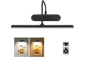 RAIFOOLLY Picture Light Battery Operated,Wireless Picture Light for Wall, Remote Painting Light with Timer and Dimmable for Art,Display,Frame,Wall Accent-Black