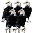 Kungfu Mall Owl to Keep Birds Away, 5 Pack Bird Scare Hawk Fake Owl, Reflective Hanging Bird Decoration, Bird Control Device to Keep Birds Pigeon Woodpecker Away from Patio Garden