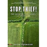 Stop, Thief!: The Commons, Enclosures, and Resistance (Spectre)