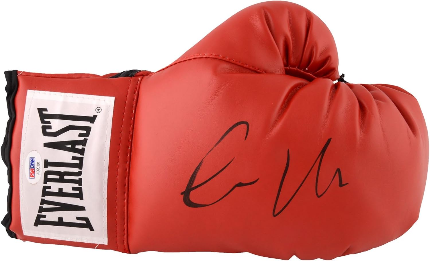 ab crunch machine gym