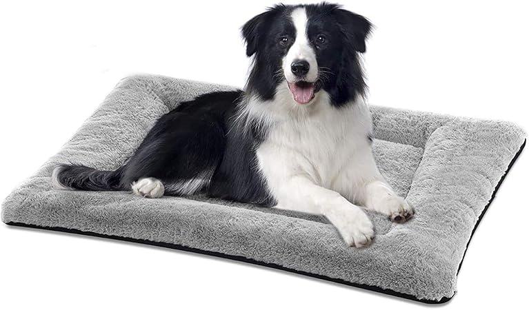 washable dog mat