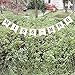 Junxia Miss to Mrs Natural Burlap Banner for Party or Wedding Decoration