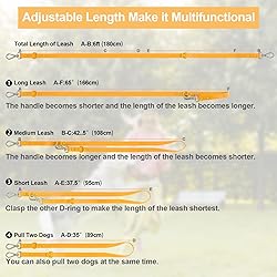 Wisedog Waterproof Standard Dog Leashes with 2