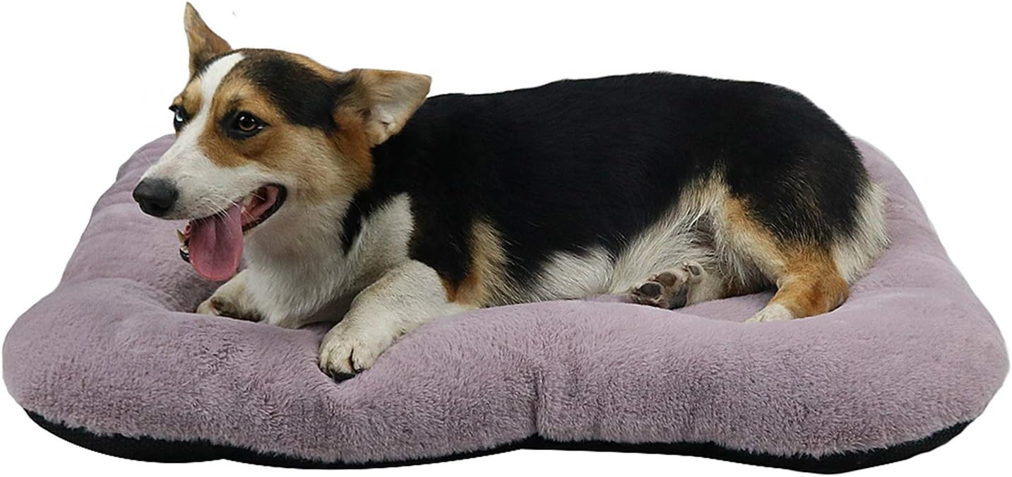 purple dog mattress