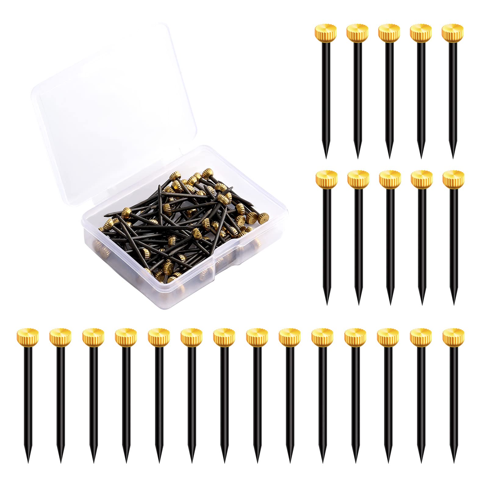 AIEX Picture Hanging Nails Picture Hang Solutions Plaster Picture Frame Hangers with Plastic Storage Box (70Pcs)