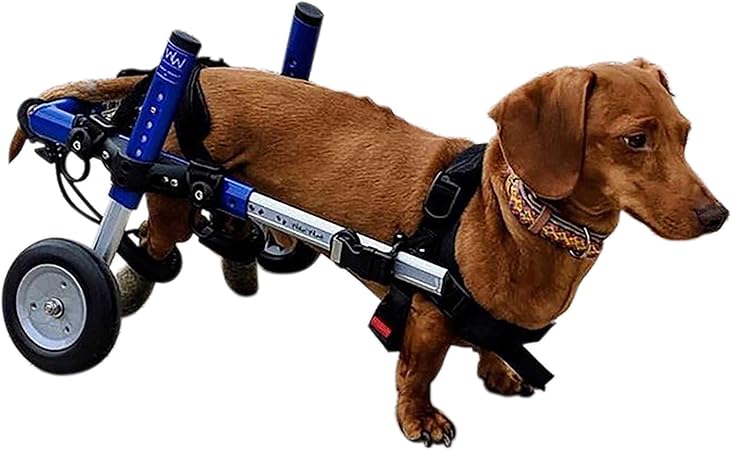 silla de ruedas para perros amazon