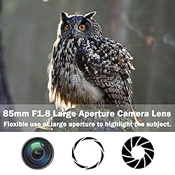 85mm f1.8 Portrait Lens - F Lens for Nikon, Manual