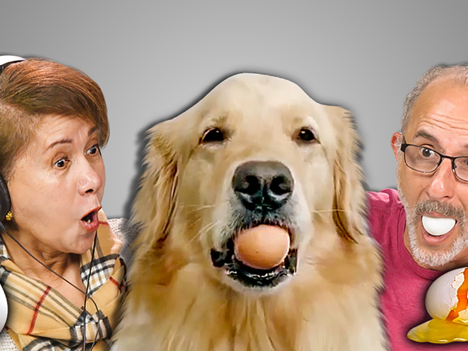 Watch Elders React Prime Video