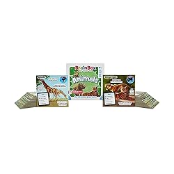 BrainBox Animals Card Game - Memory & Observation