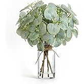 Muhanjia Artificial Eucalyptus Stems in Clear Glass Vase with Faux Water, 14" Fake Plant Eucalyptus Leaves White Seeds for Office Home Farmhouse Wedding Centerpiece Table Decor (Grey Green)