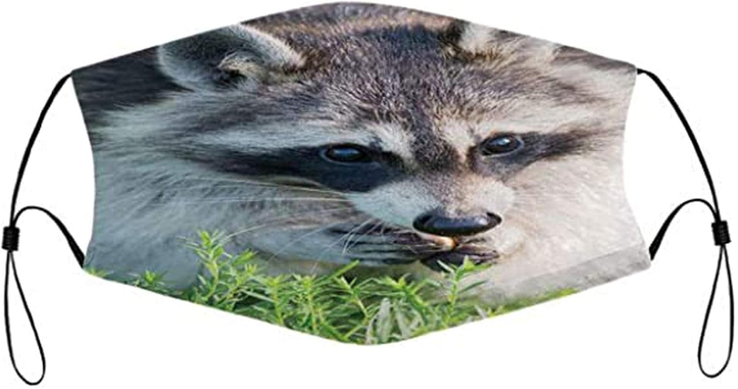 Face Masks Cotton Raccoon With Two Filters Fun Combination Gifts Scarf