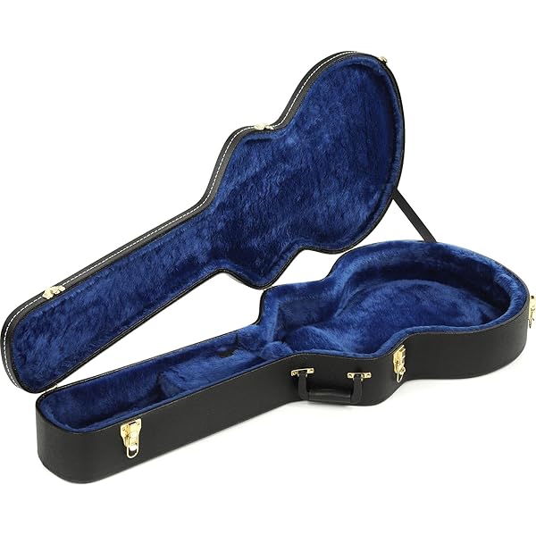 Ibanez AEL20E / AEL40SEジャンク ケース付 2025年最新】IBANEZ AELの