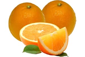 Amazon Best Sellers: Best Fresh Oranges