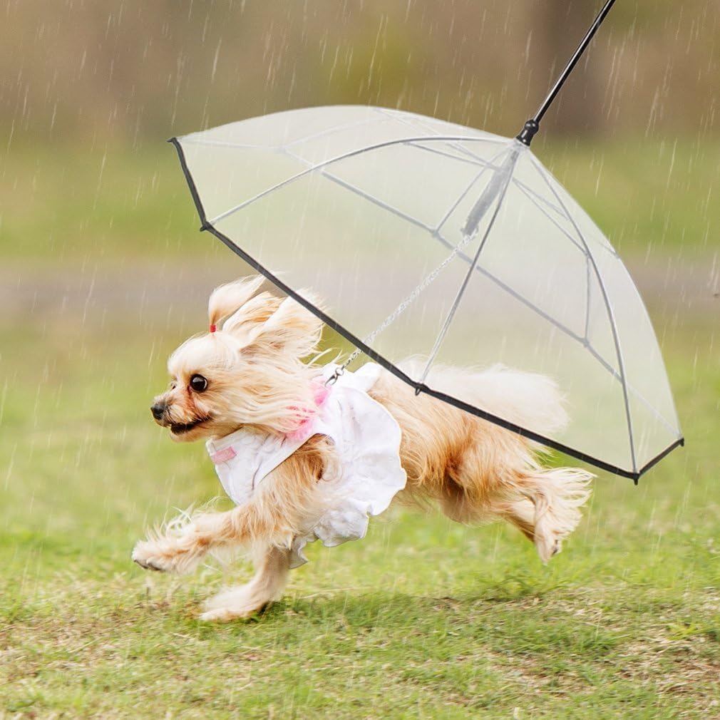 Pet Dog Umbrella With Leash for Small Dogs Puppies 20 Inches Back Length Replace, Remove the Uncomfortable Dog Raincoat