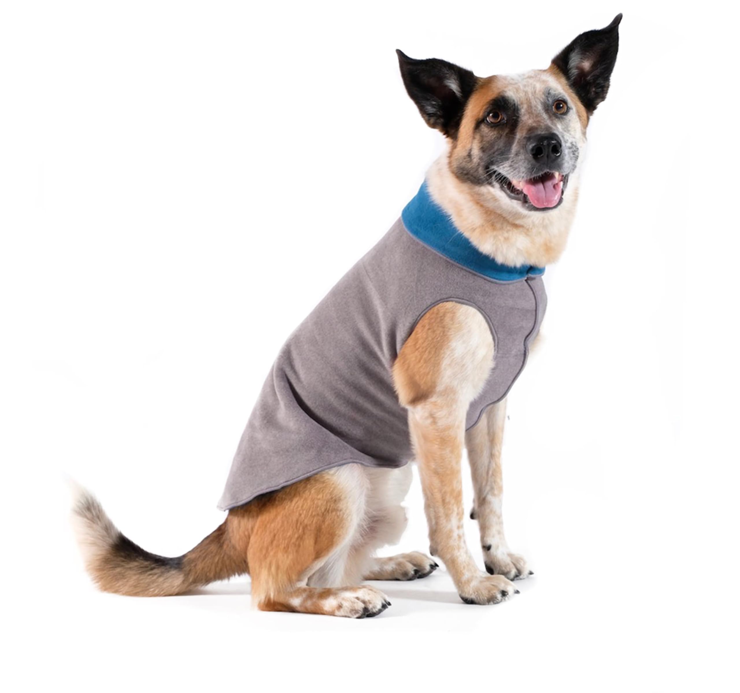 Goldpaw Duluth Double Fleece Dog Sweater Vest for Small Dogs - Soft, Stretchy Dog Fleece - Warm Pet Jacket for Fall and Winter - Premium Pet Outerwear - Machine Washable - Charcoal/Marine - Size 10