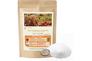 J PLUS T Mono Potassium Phosphate (MKP) 0-52-34 - Premium Water Soluble Fertilizer, Bloom Booster for Flowers & Fruits, Promo