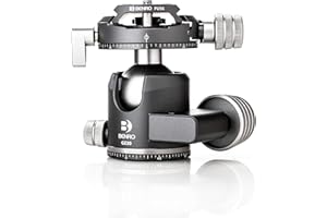 Benro GX30 Low-Profile Dual Panoramic Ball Head – Arca-Swiss Quick Release, Independent Pan Controls, Precision Friction Adjustment & Compact Aluminum Design for Tripods (GX30)