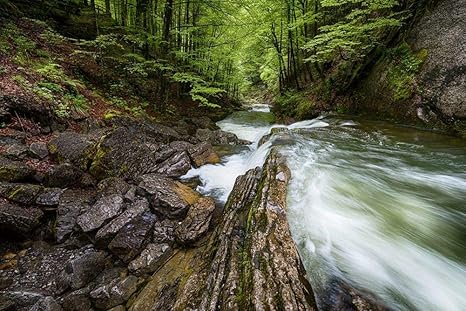 Amazon Co Jp 山の岩の壁紙を駆け抜ける川 自然の壁紙 キャンバス ステッカー 印刷 壁紙ポスター はがせるシール式 写真 特大 絵画 壁飾り1cmx80cm ホーム キッチン