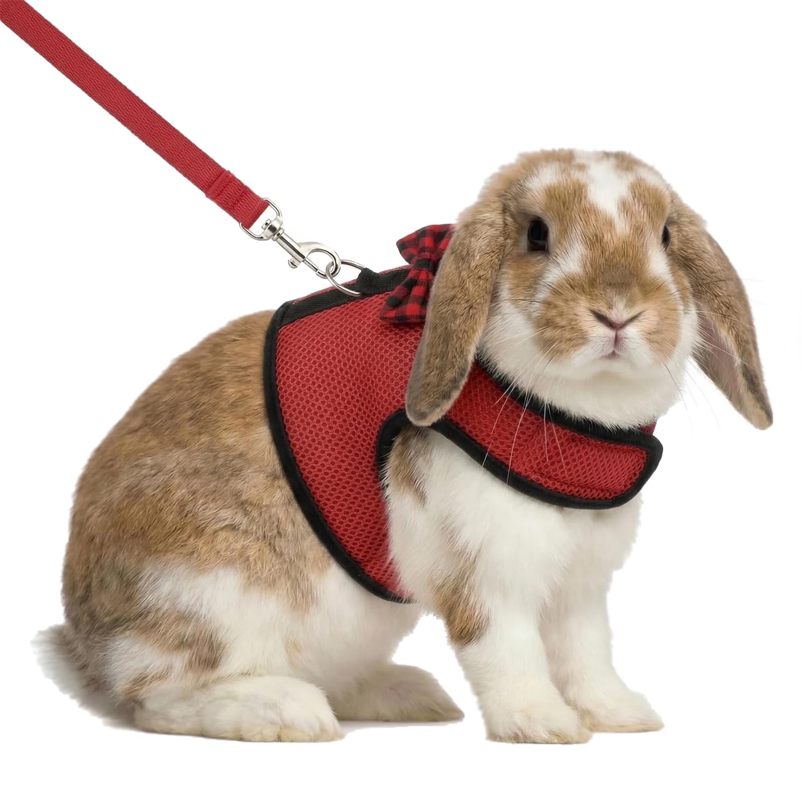 Hypeety Bunny Kitten Harness No Pull Cat Leash Stylish Vest Harness for Small Animal Adjustable Soft Breathable Walking Harness Set (RED, S)