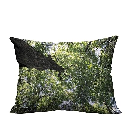 Amazon Com Youxianhome Pillow Case Cushion Cover Tree Canopy
