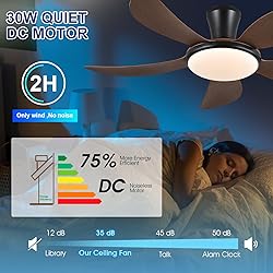PHORUS Low Profile Ceiling Fans with Lights and