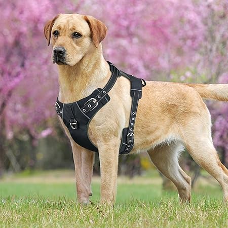 Idepet Hundegeschirr, kein Ziehen, verstellbar, Weiches Air-Mesh-Hundegeschirr, reflektierend, atmungsaktiv, Leichtes Hundege