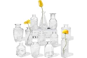 QYYIGUF 12 Glass Bud Vases Set,Clear Bud Vases in Bulk,Small Vases for Centerpieces,Mini Vintage Vase for Flowers,Rustic Wedding,Home Table Decorations