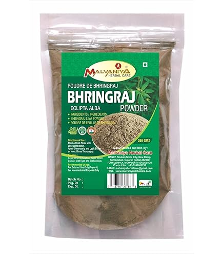 Bhringraj-Pulver - Eclipta alba - Gänseblümchen - Großhändler@Co Preise