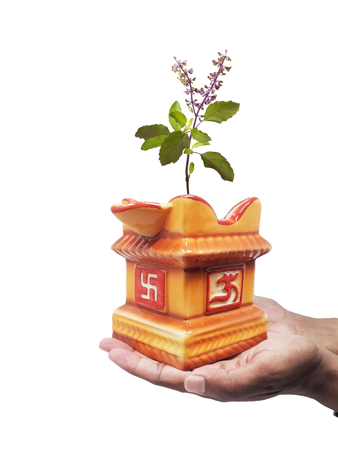 Vastu Plants for Home Prosperity