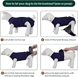 Kuoser XS Dog Surgery Recovery Suit Adjustable Post-Surgical Onesie Blue view 5