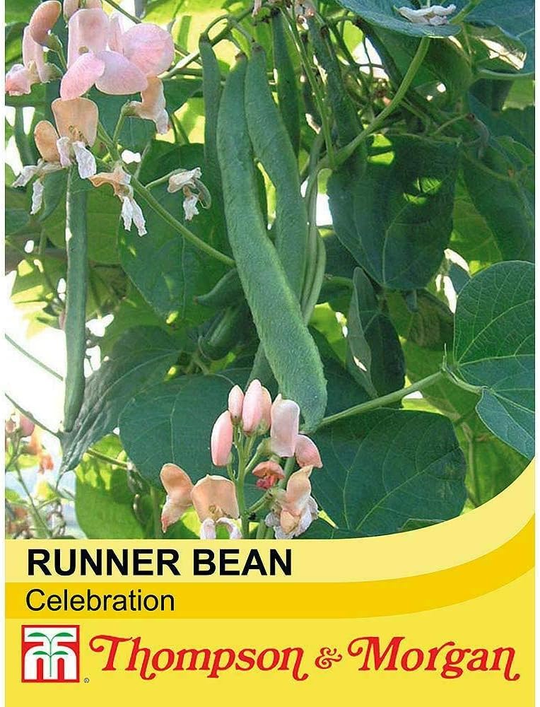 Runner Bean ‘Celebration’ Seeds HalfHardy Annual Vegetable Garden