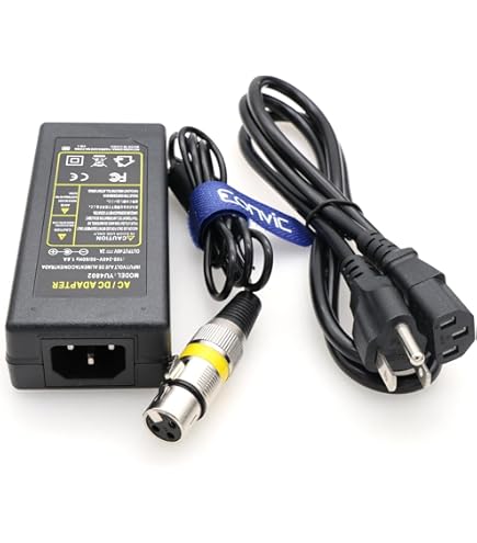 Amazon.com: HangTon AC Power Adapter for Aputure Amaran 200d S