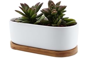 T4U 6.5 Inch Ceramic Plant Pots Indoor White Modern Oval Design Succulent Planter Pot/Cactus Plant Pot with Bamboo Tray
