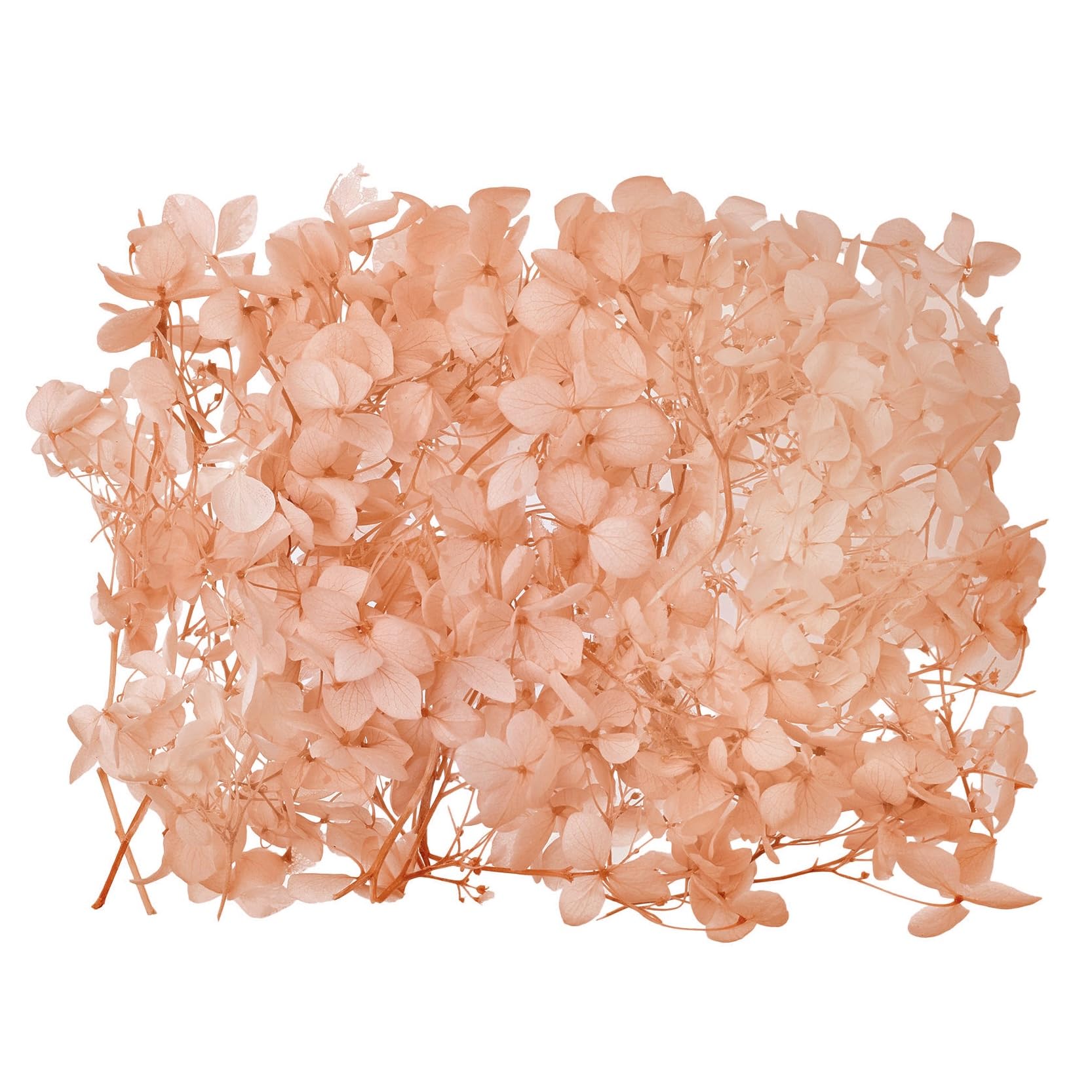 The Baked Studio - Original Dried Flower Hydrangea Set For Cake & Cupcake Decorating & Others Crafts (Dusky Peach)