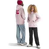 The North Face unisex-child Evolution Box Nse Pullover Graphic Hoodie