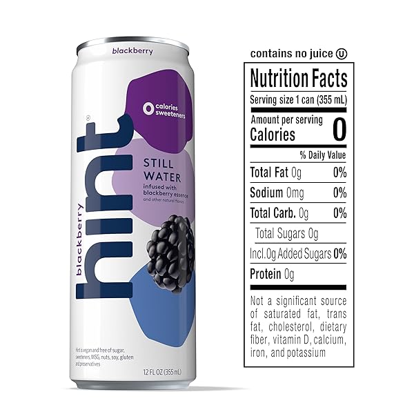 HINT FRUIT-INFUSED CANNED WATER, BLACKBERRY – PURIFIED FLAVORED WATER WITH ZERO CALORIES, NATURAL FLAVORS, AND SUGAR FREE – 12 FL OZ CANS (PACK OF 12)
