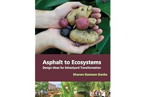 Asphalt to Ecosystems: Design Ideas for Schoolyard Transformation