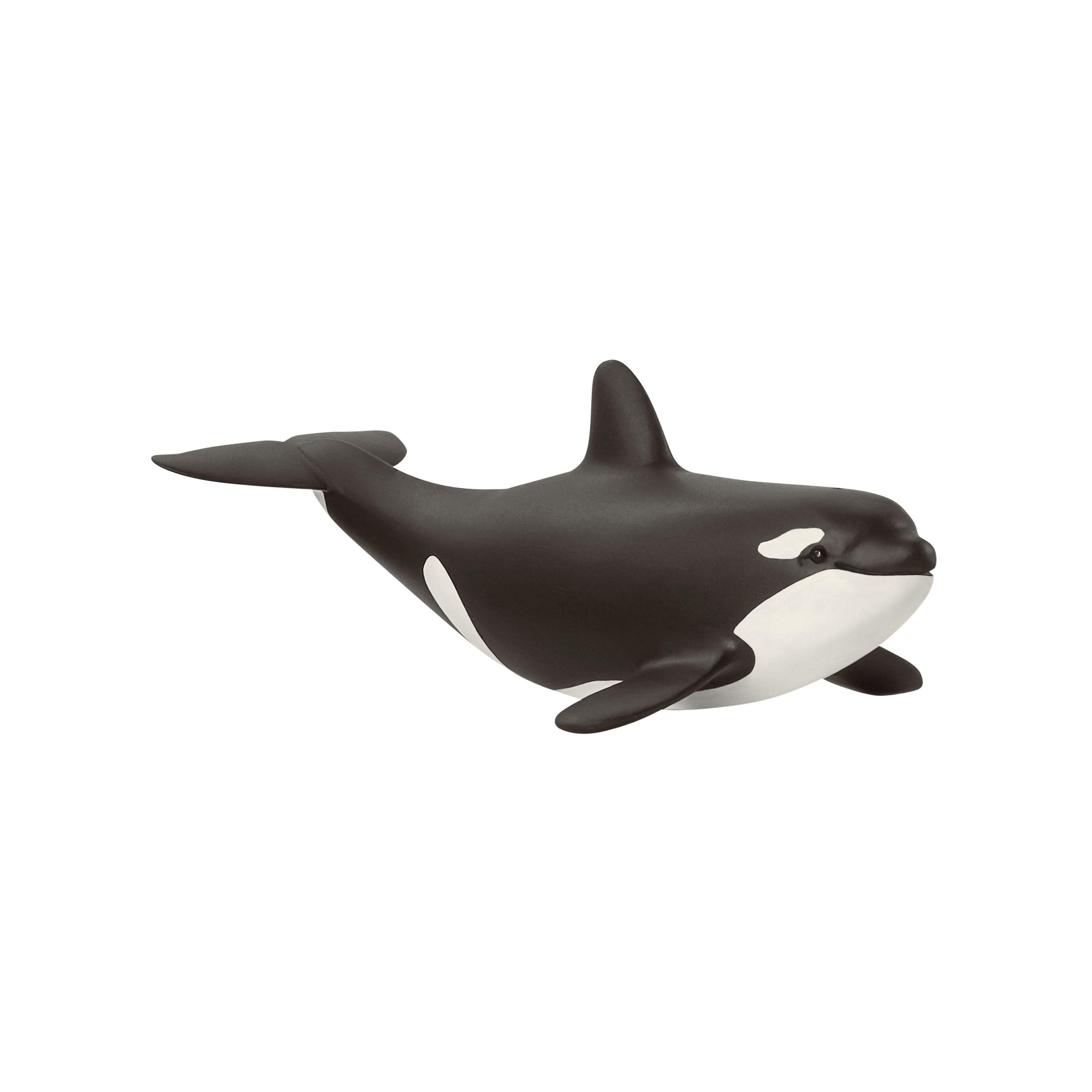 SCHLEICH 14836 Baby Orca Wild Life Toy Figurine for children aged 3-8 Years
