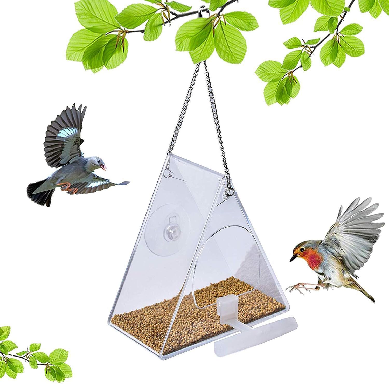 Acrylic Window Bird Feeder Box, Clear Glass Window Viewing Bird Feed