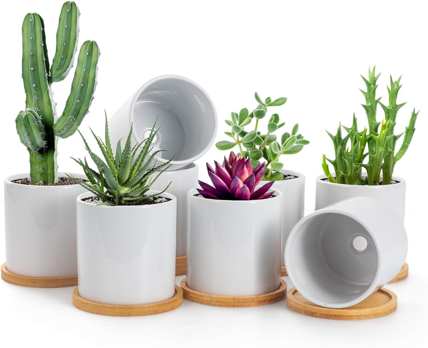 The 15 Best Pots for Succulents of 2023 Best Garden Tips
