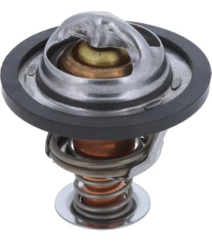 Amazon.com: MotoRad OE Type Thermostat (13899), Stainless Steel