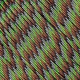 West Coast Paracord 10 25 50 & 100 Foot Hanks & 250