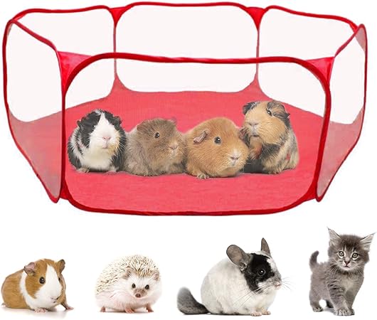 amazon guinea pig playpen