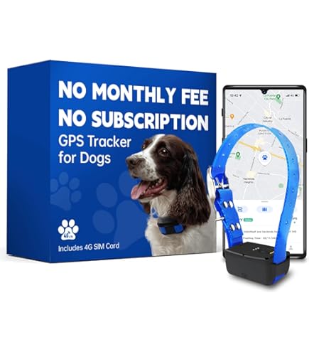 Gps Collar Gps For Dogs Without Monthly Fee Best Dog Tracker Uk