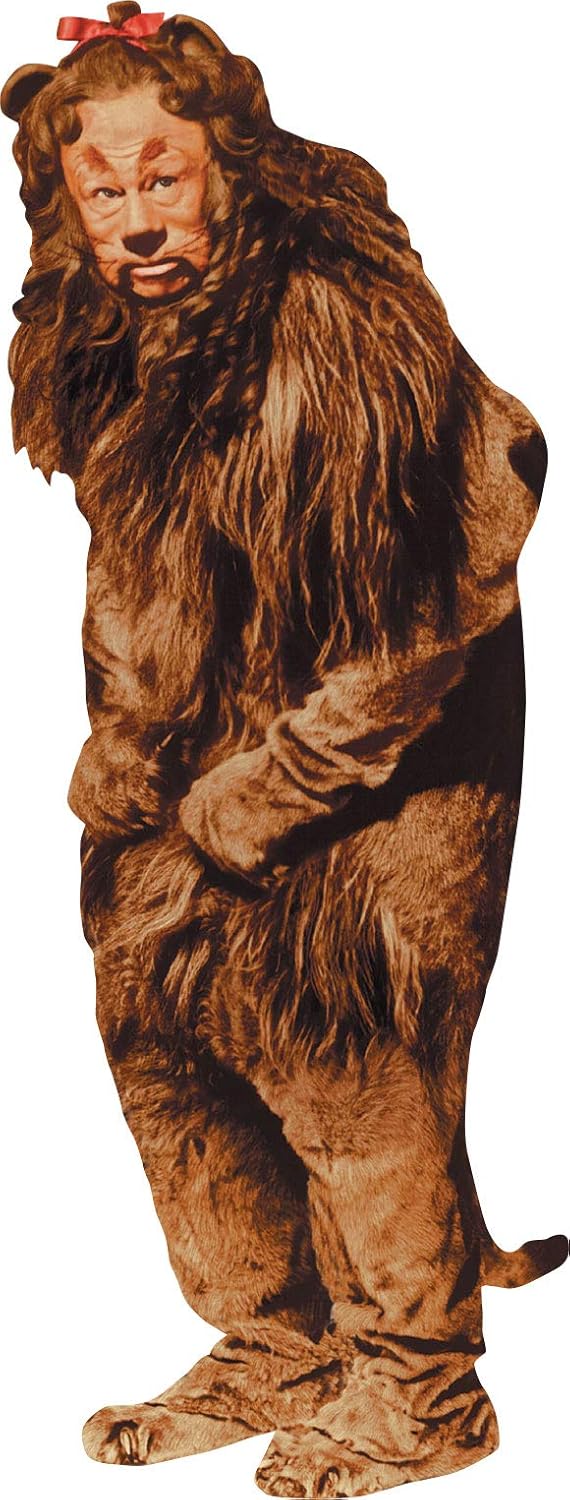 Which Is The Best House Shaped Refrigerator Magnets