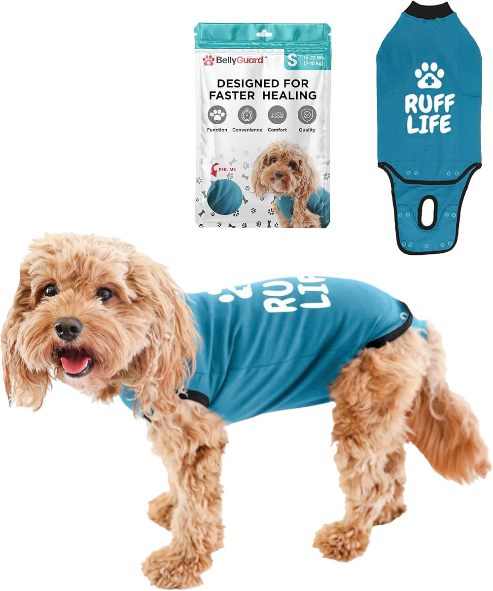 BellyGuard Dog Recovery Suit for Post Surgery Vests Cozy Onesie